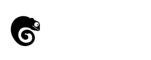 logo_footer